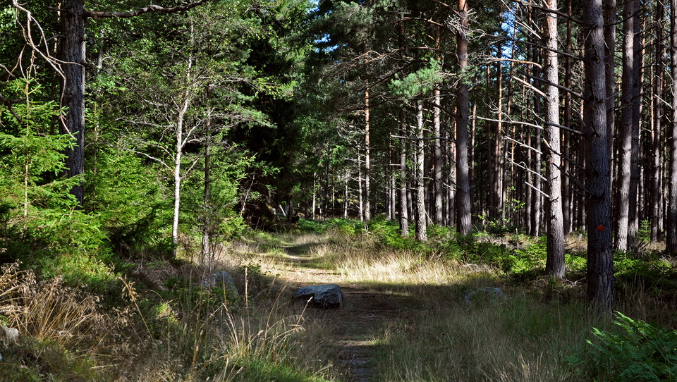Reservatets leder tar dig genom odlingslandskap, hagar och skog.
