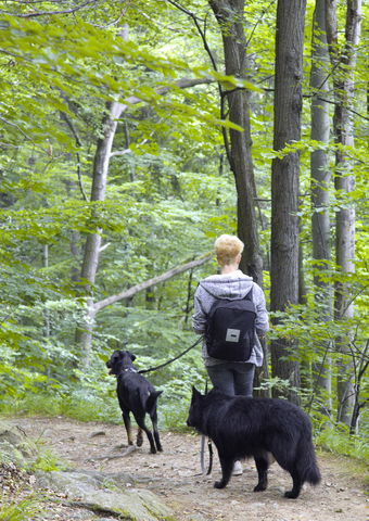 Alternativ vandringsslinga via Tegelbrukets sluss