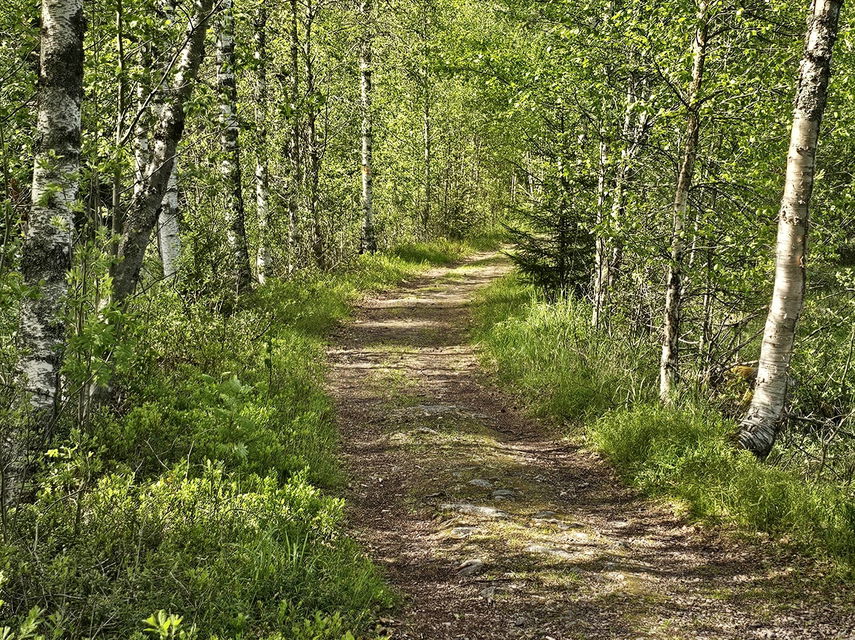 Södra stigen till Ritamäki.