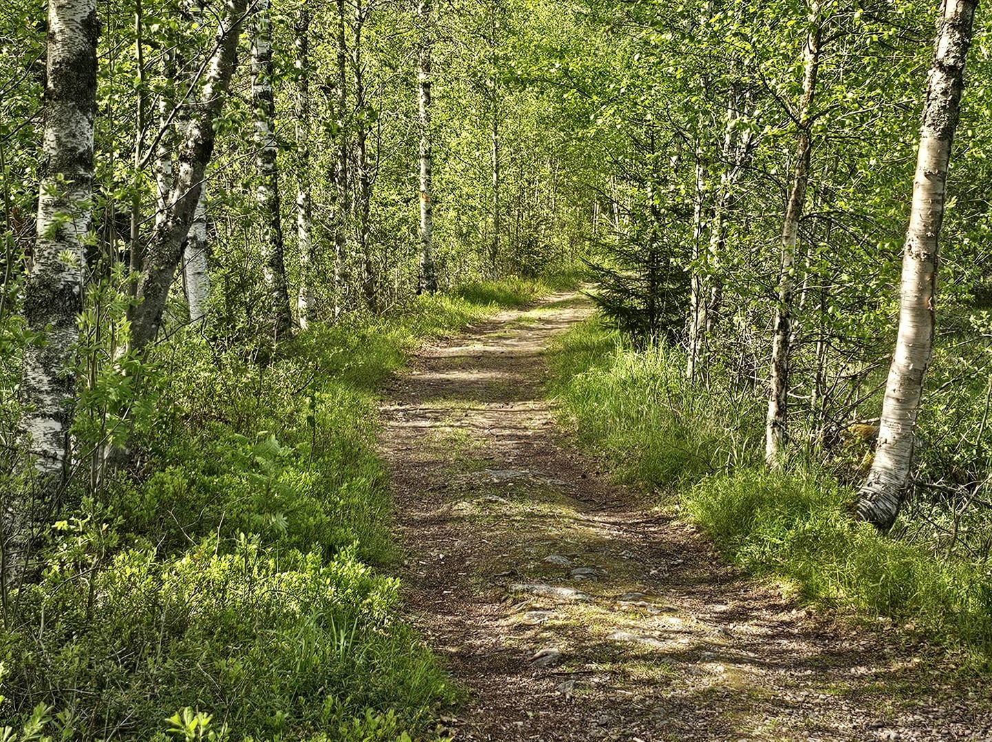 Södra stigen till Ritamäki.