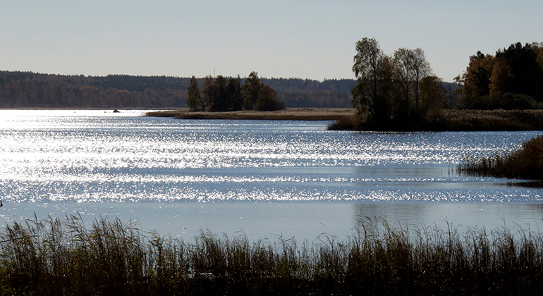 Utsikt över Vänervik. Foto Johan Bohlin.