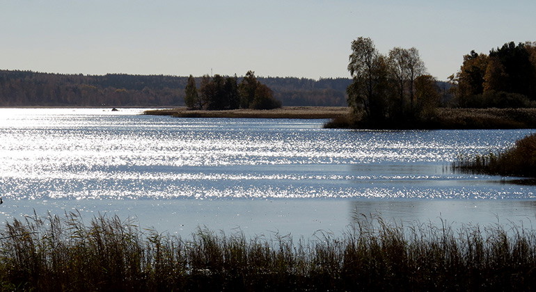 Utsikt över Vänervik. Foto Johan Bohlin.