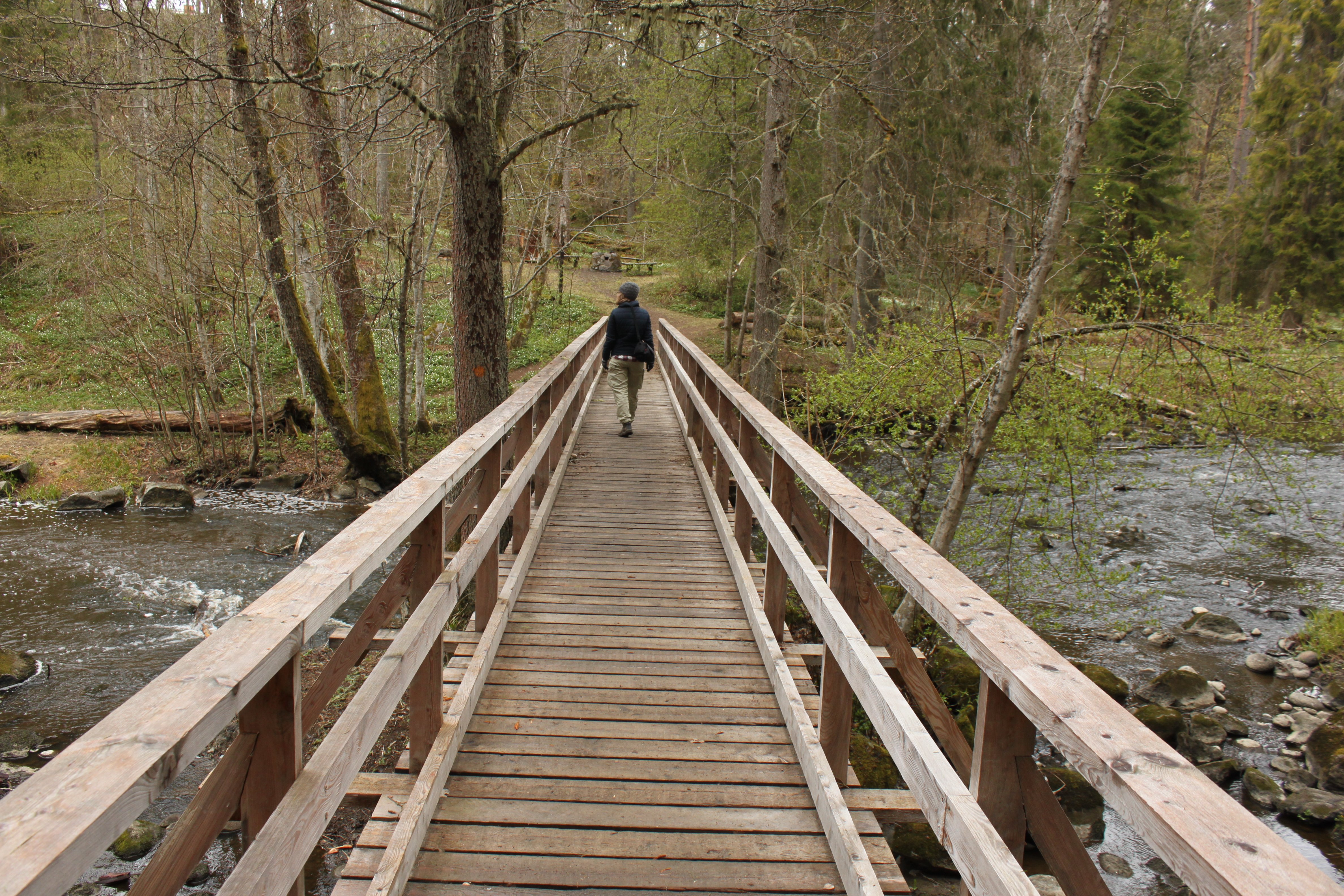En träbro med handräcken på bägge sidorna går över en å i naturen. En person går över bron.