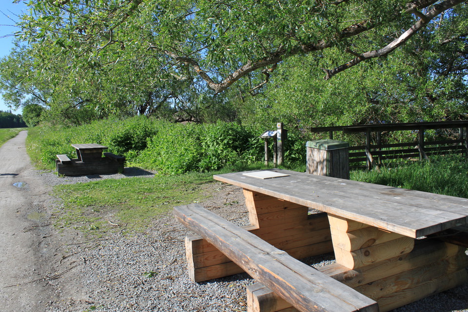 Två bänkbord står på varsin sida av en spång som leder till fågeltornet. Bredvid bänkborden går en grusad gångväg.