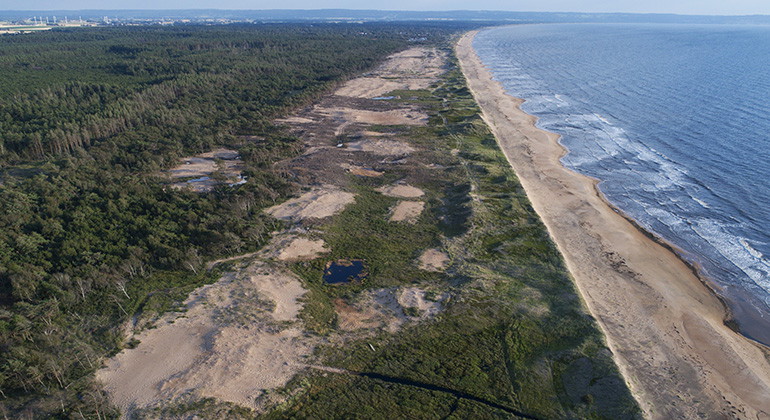 Vy ovanifrån med strand och skog