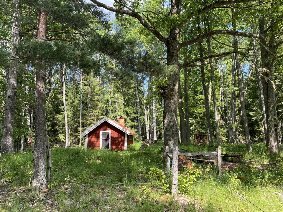 Raststugan i skogen på lite avstånd