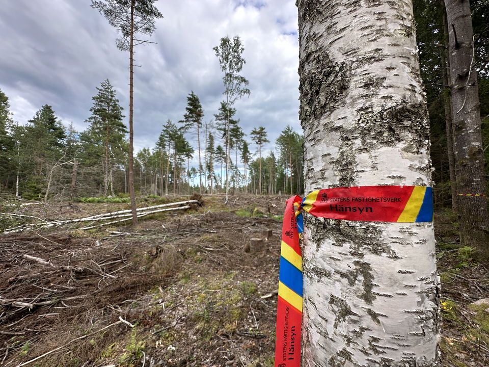 I Bogesunds naturreservat utanför Stockholm har SFV inte tagit hänsyn till friluftslivet såsom sig b…