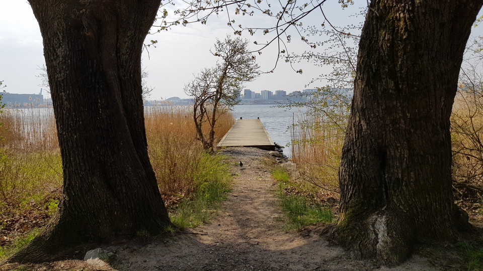 Lönnar och brygga vid Öskure: Foto Lidingö stad