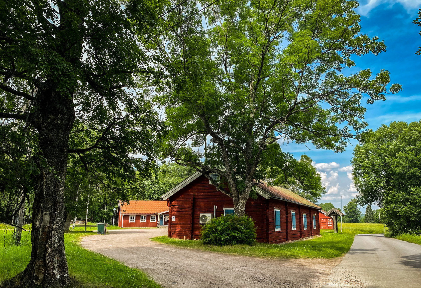 Tråbacken.