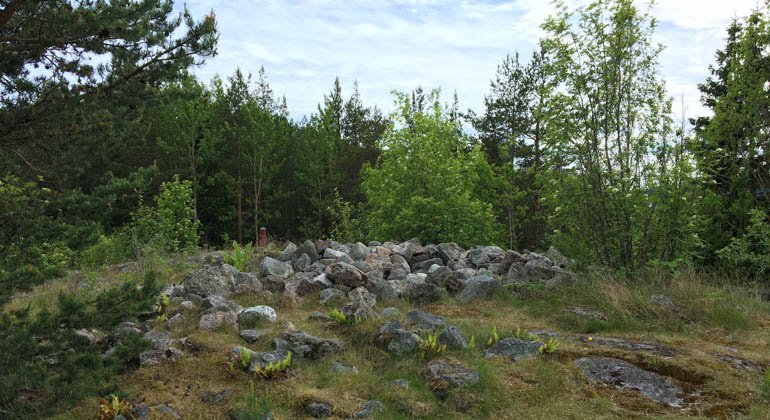 Klampenborgs naturreservat.