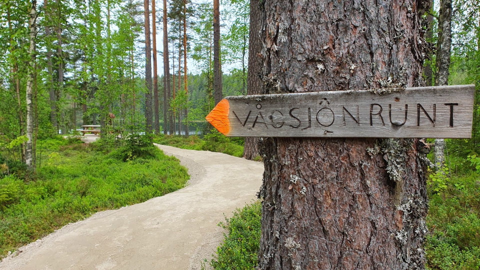 Tillgänglighetsanpassad sträcka av stenmjöl som leder in i skogen.