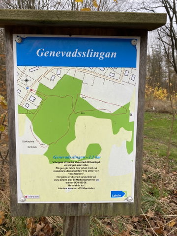 Genevadsslingan