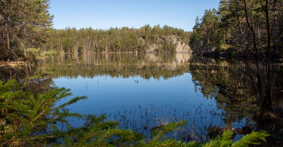 Etapp Fridhemsrundan i Norrköping.
Bärsjön.