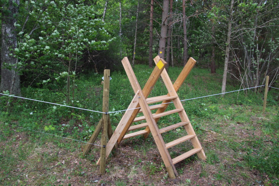 Du passerar två stängselövergångar längs Paradisstigen.