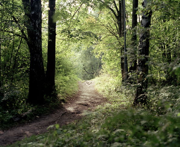 Himmelstalunds elljusspår