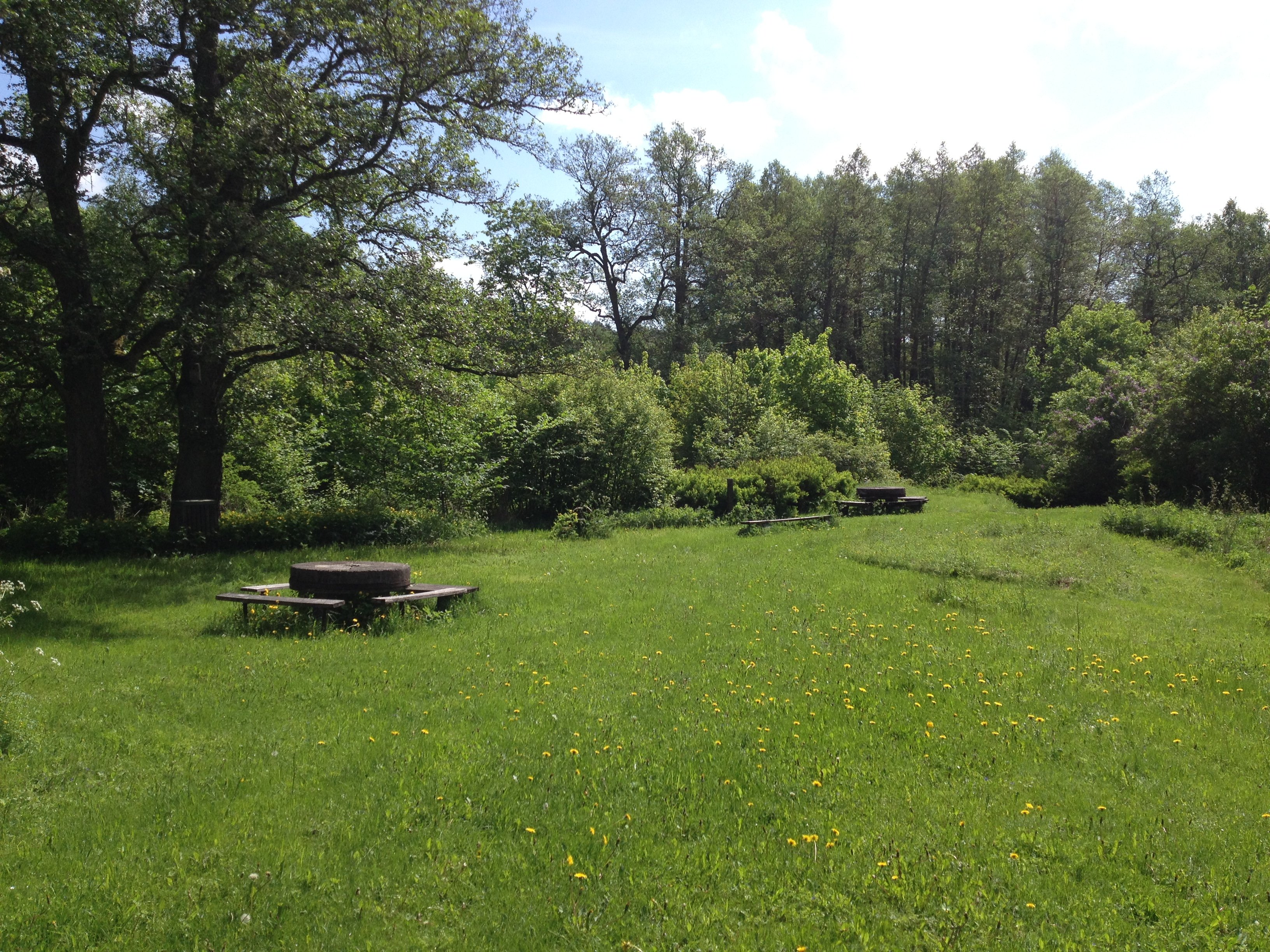 Öppen gräsmark med grillplats, bärnkbord och sittbänkar. Runtom rastplatsen finns många buskar och träd.