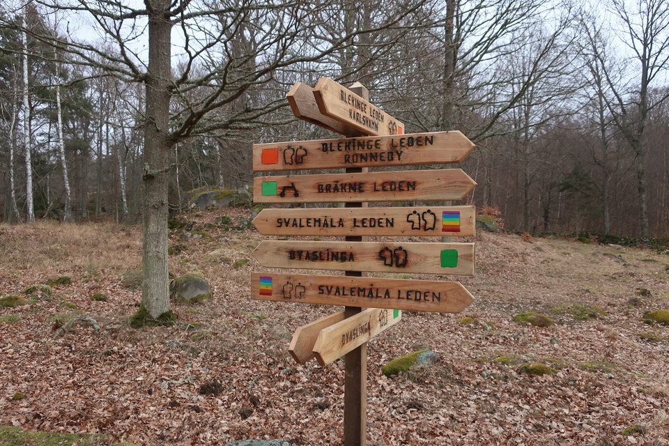 I Järnavik passerar många leder 