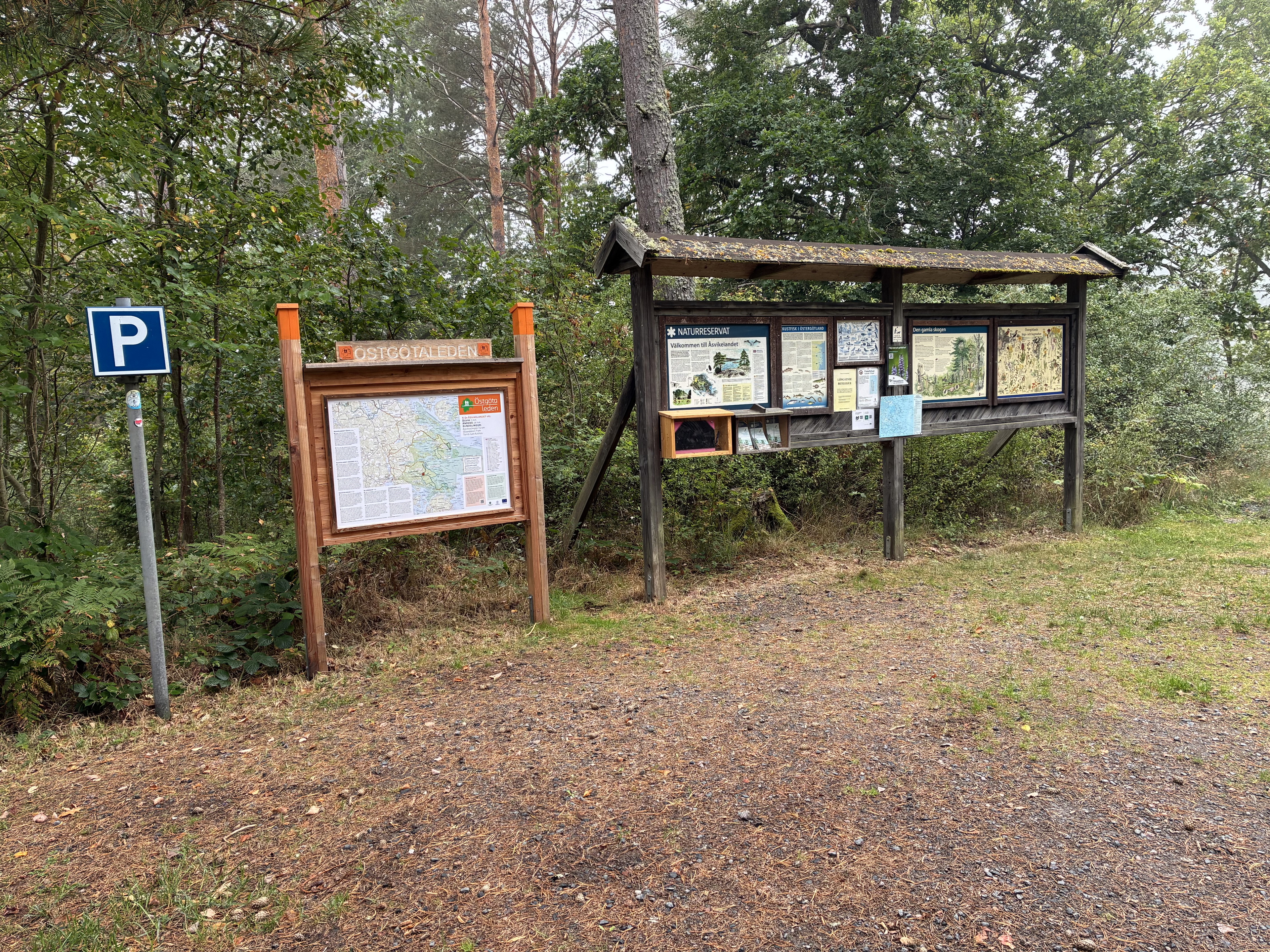 Åsvikelandet, startplats