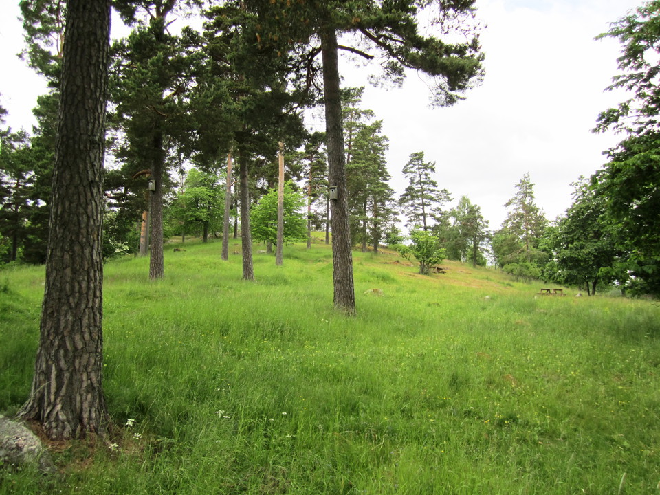 Elin van Dooren/Trosa kommun