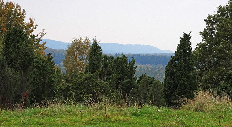 Utsikt från toppen.