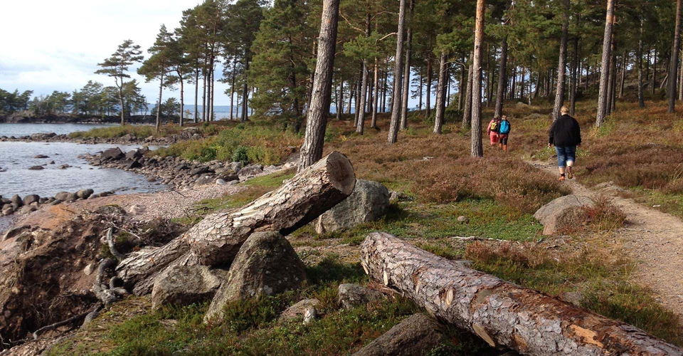 Västanvik rundslinga
Motala