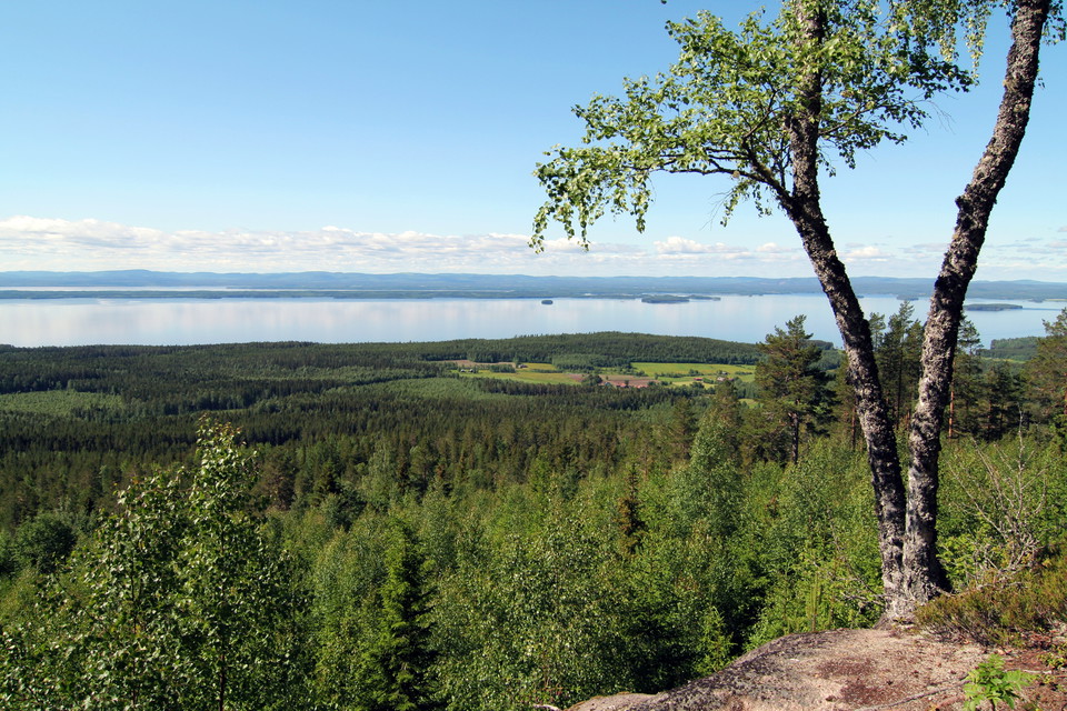 Gulåsen