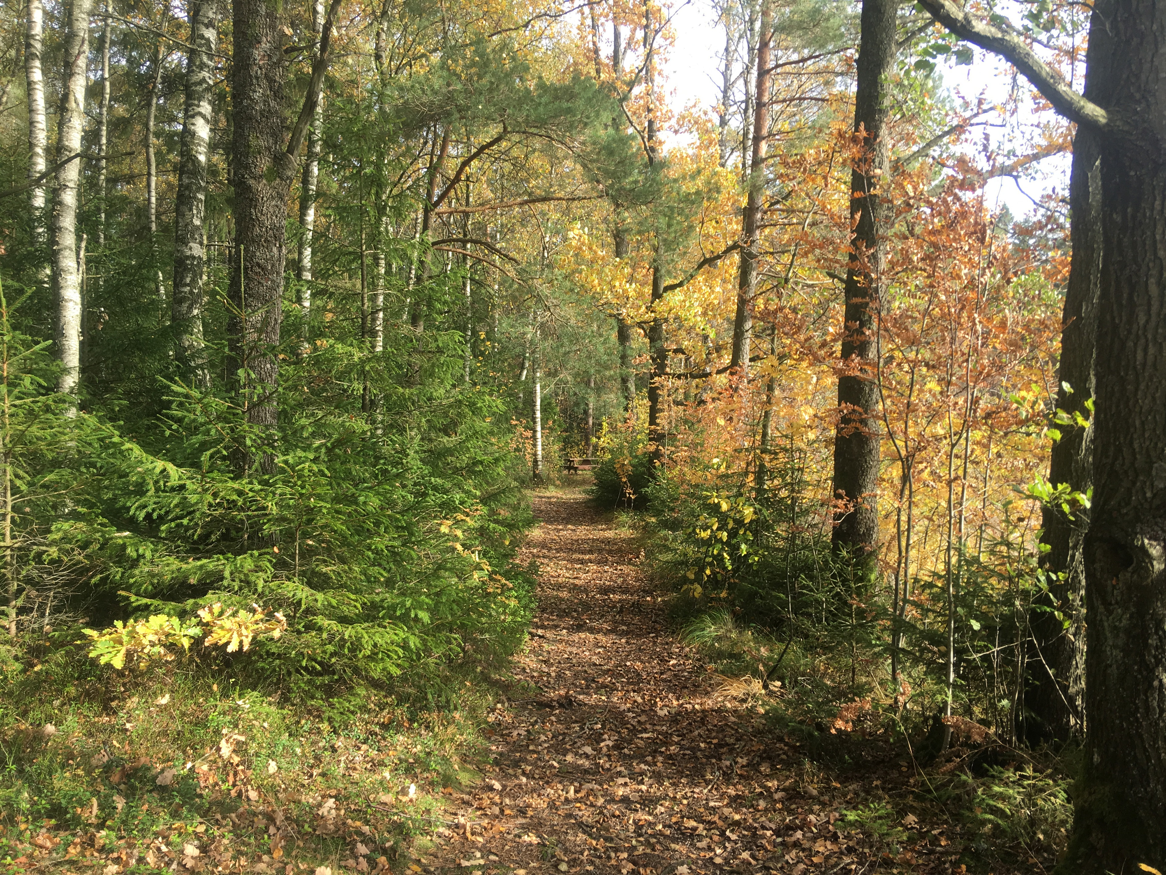 Anslutningsled Gislavedsleden - Fegen 