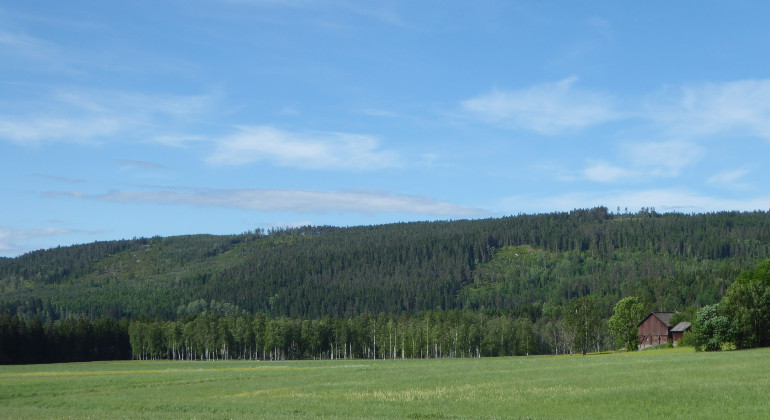 Ryttersfjället.
