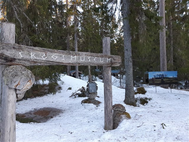 Börningsbergets skogsmuseum