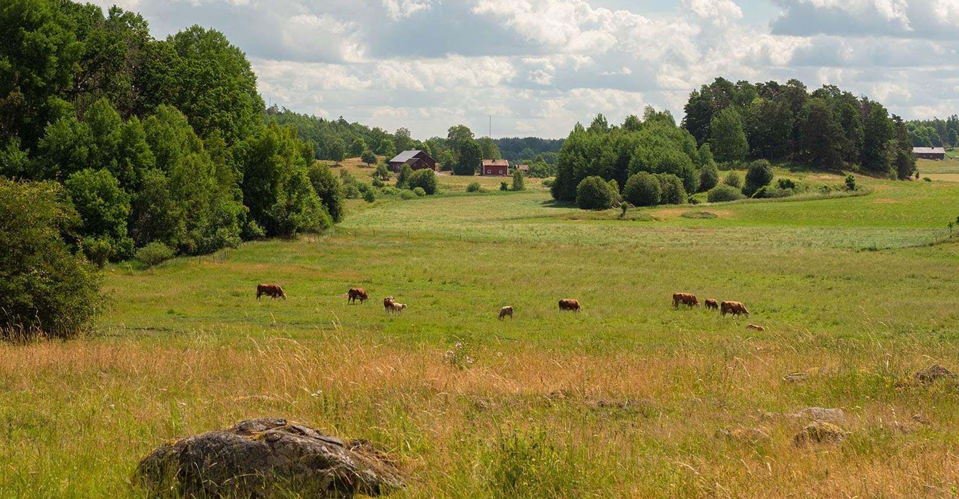 Etapp: Sätravallen-Mormorsgruvan (Rödgölen-Mormorsgruvan ).Kinda/Åtvidaberg