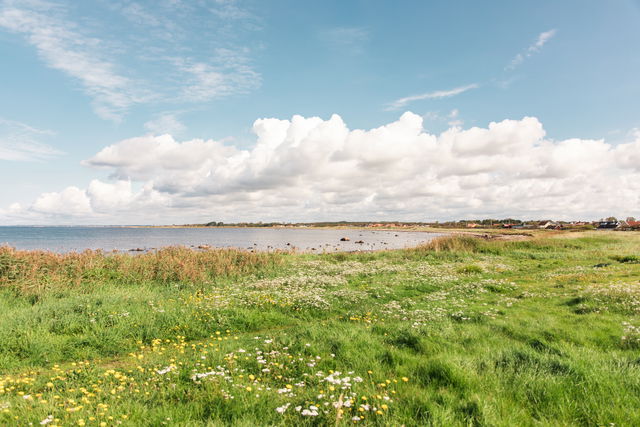 Beach, Glommen