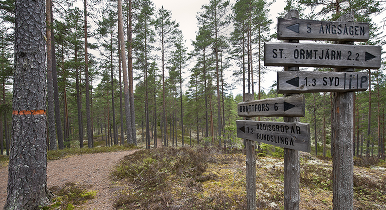 Flera vandringsleder går över Kittelfältet.