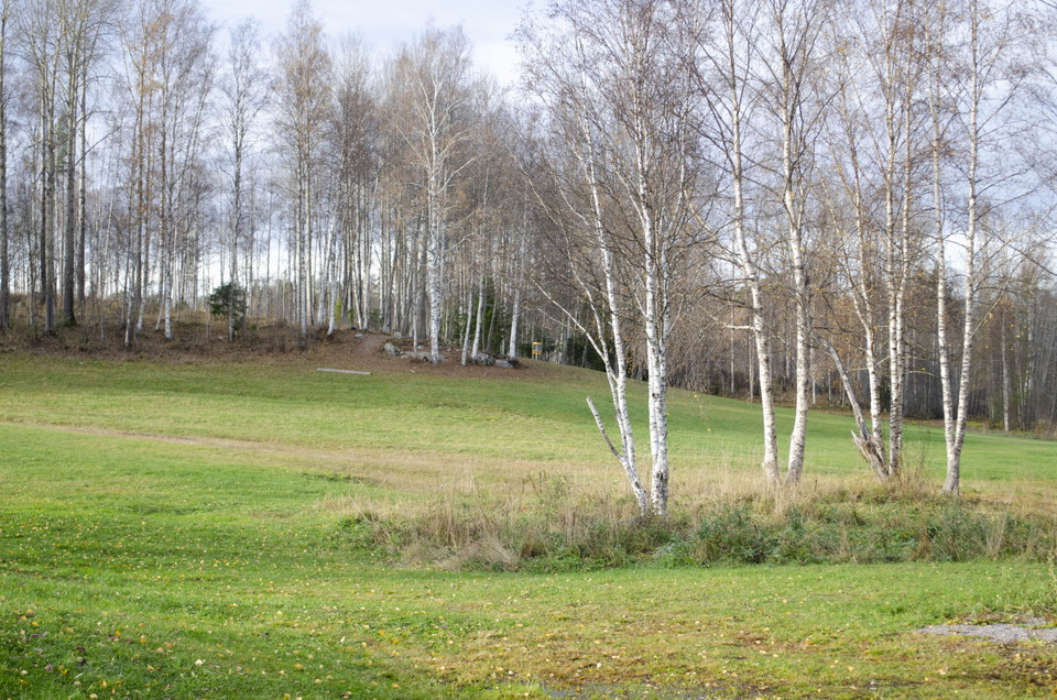 Granloholms discgolfbana i höstskrud