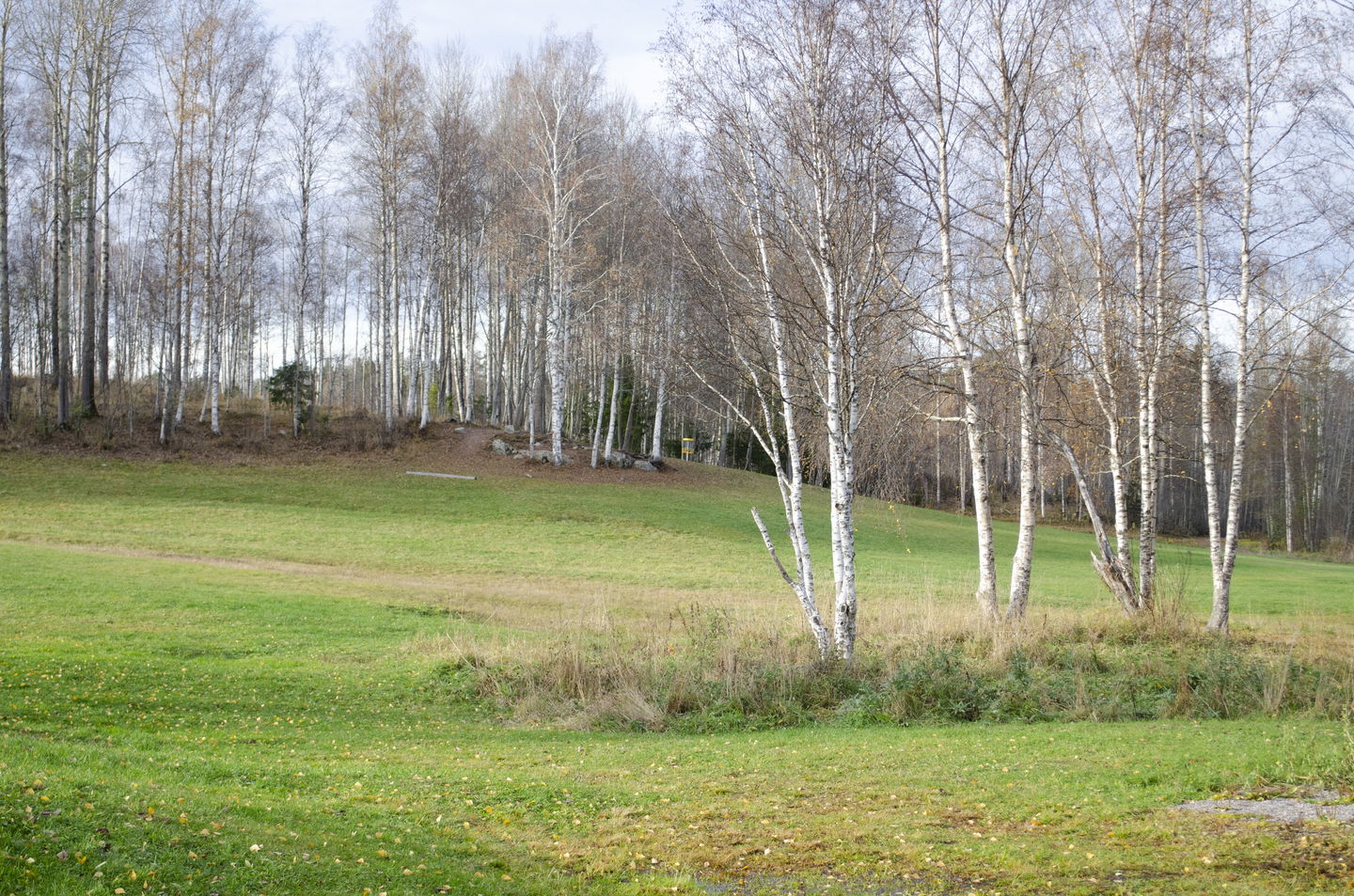 Granloholms discgolfbana i höstskrud
