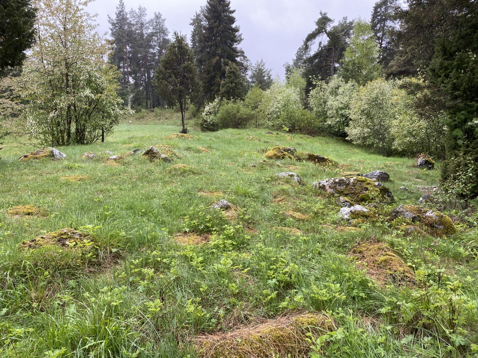 Västeråkern, örtbacke, bilden visar en stenig äng med träd och buskar i bakgrunden