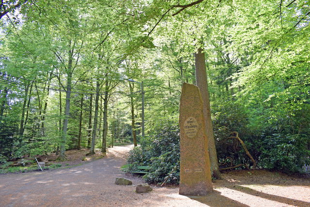 Slingan i Kungsbackaskogen