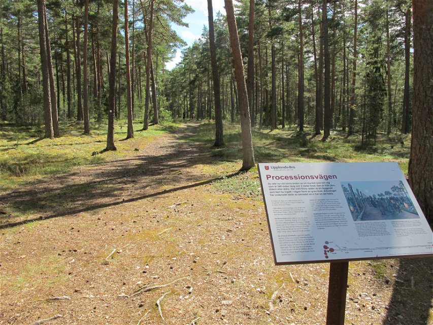 Processionsvägen börjar inne i naturreservatet. 