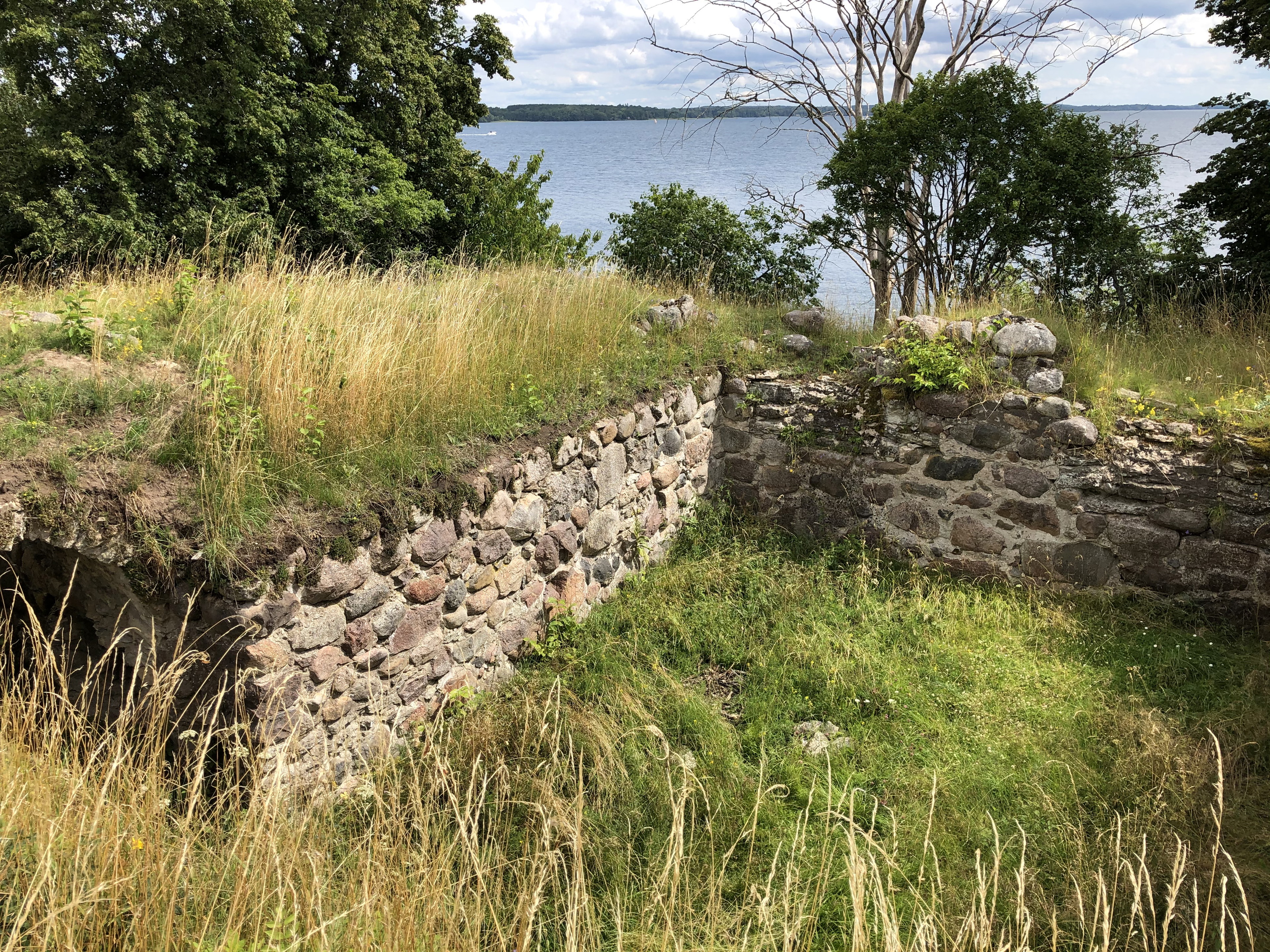 Ruin övervuxen av gräs