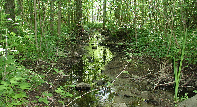 Fotograf: Johan Teiffel