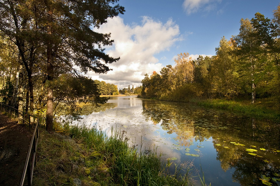 Råcksta träsk.