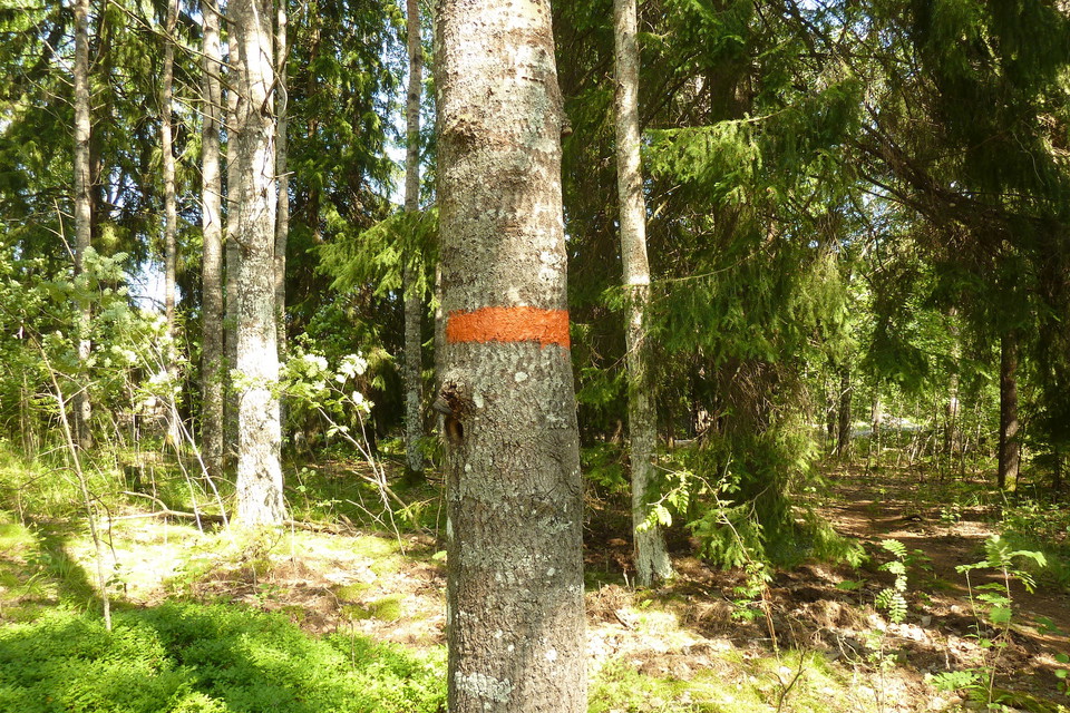 S-dekaler på gång- och cykelvägen vid Nynäsvägen.