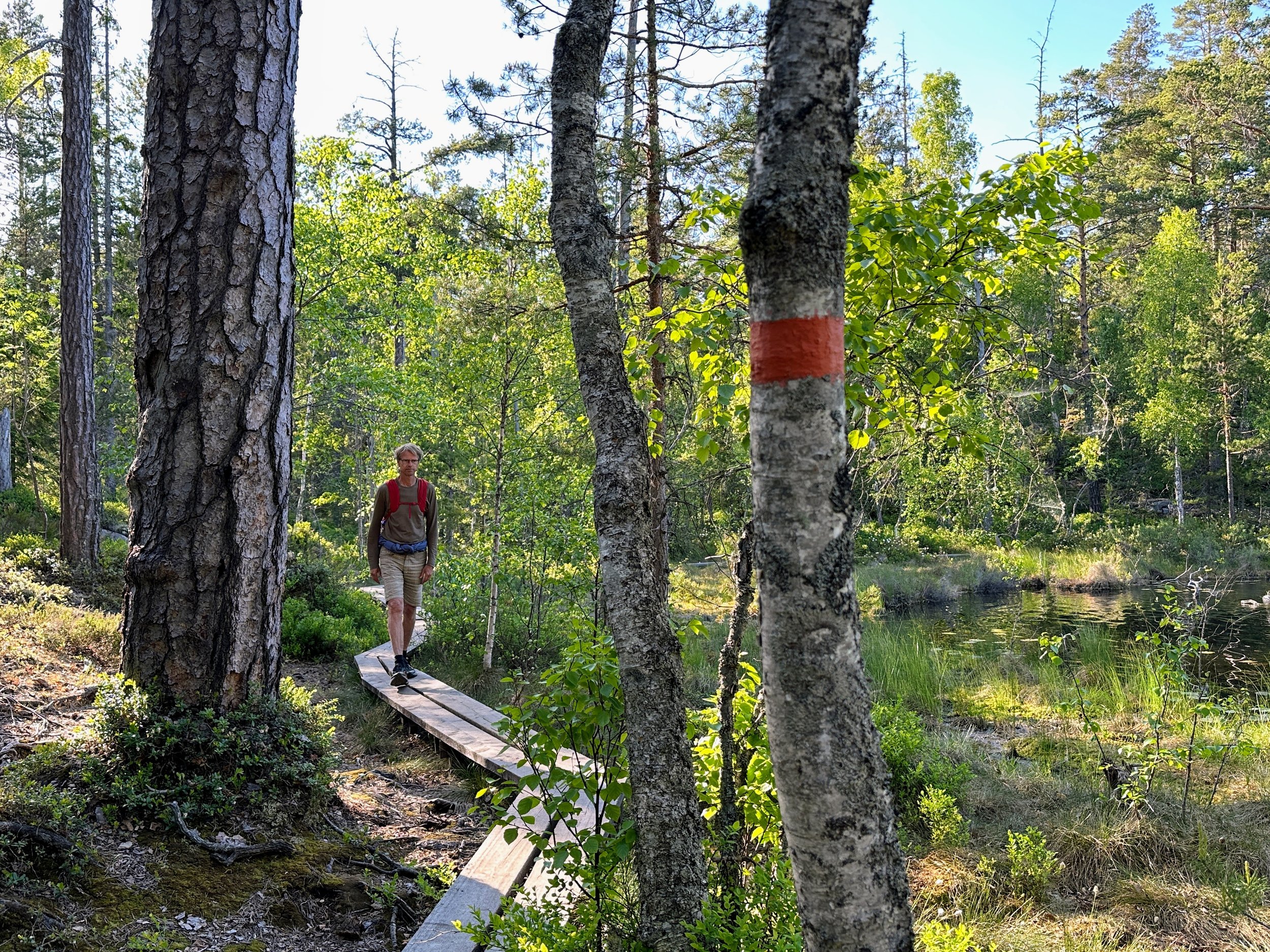 I våras rapporterade Naturvårdsverket vad man lyckats åstadkomma utifrån de två anslag myndigheten f…