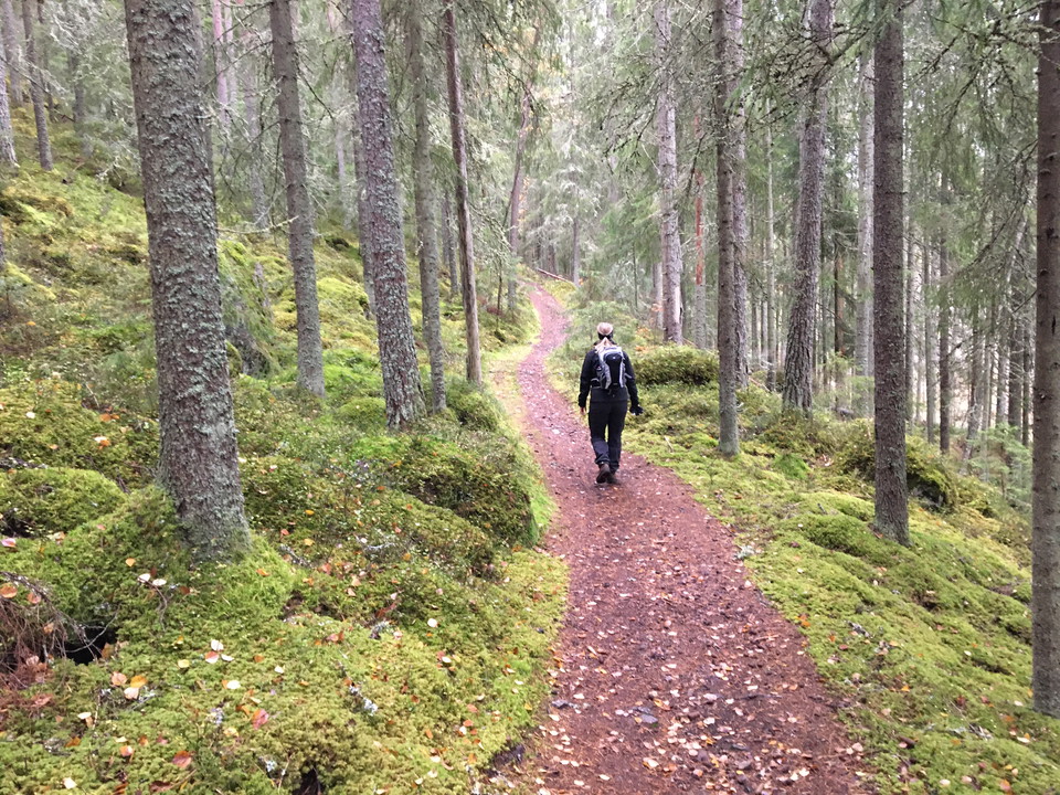 Gamla vägen till Limbo