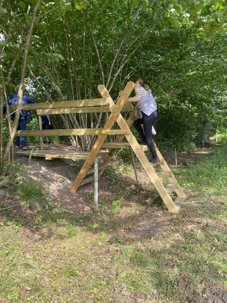 Trappa upp till Galma landsvägen