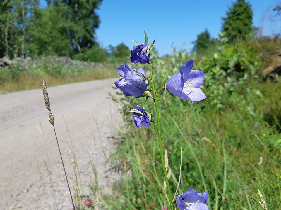 Livet på landet-turen