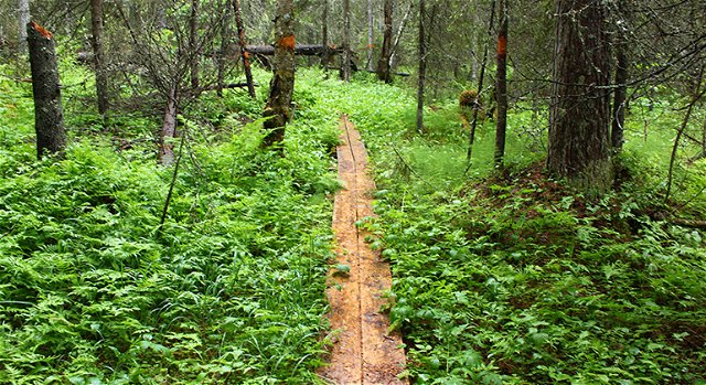 Trail "Nature trail", Lustgården
