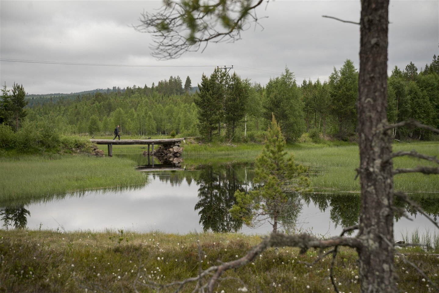 Bron över Hynsån vid Sörmyren. Foto Jakob Wallin