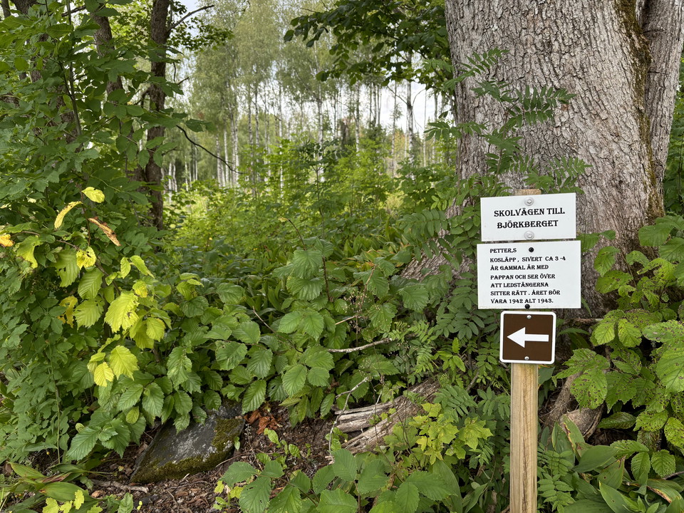 Vägvisare Skolstigen
