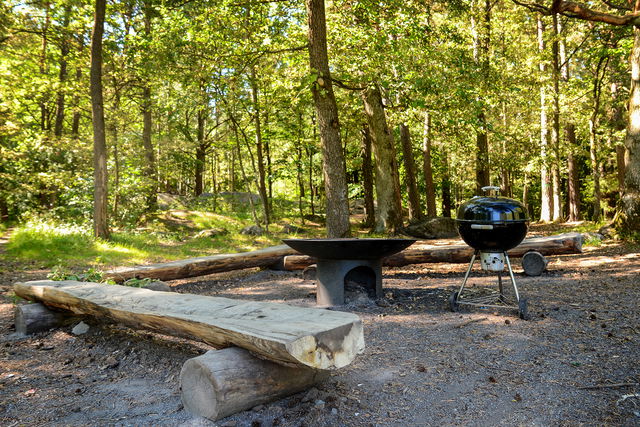 Grillplats vid idrottsplatsen - Älvsjöskogens naturreservat