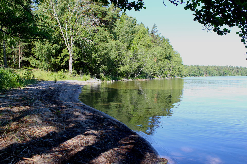 En sandstrand i en vik vid Mälaren. Längre ut i viken finns det skog.